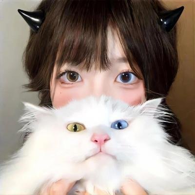 光环第一季